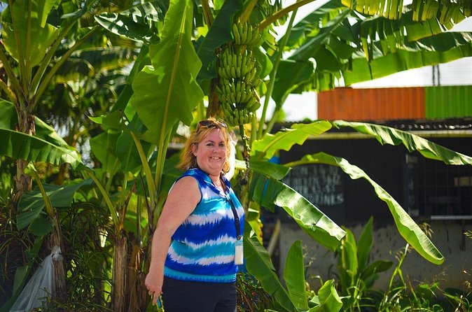 Mudbaths, Waterfall & Botanical Gardens Tour - All Inclusive - Lunch, drinks, and the all-inclusive question