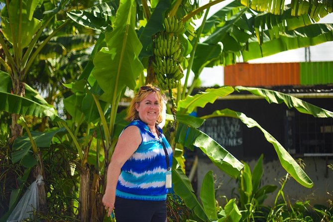 Mudbaths, Waterfall & Botanical Gardens Tour - All Inclusive - Who will get the most from this outing?