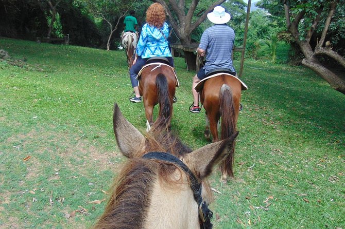 Nature & Historical Horseback Riding Tours St. Lucia - The old sugar factory and historic ruins