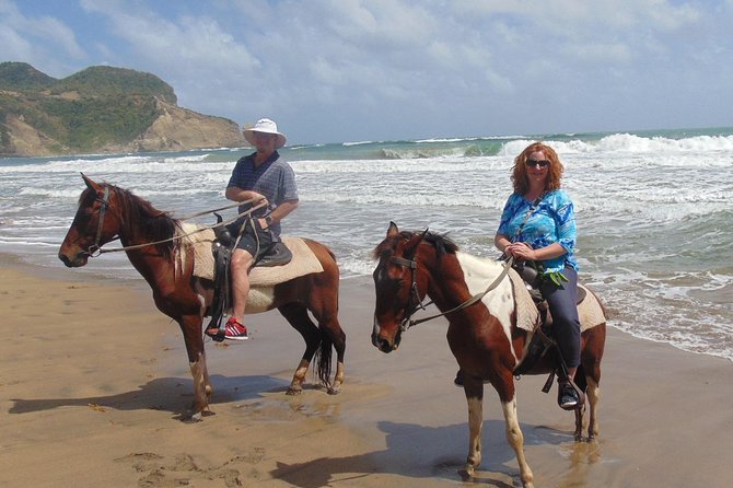 Nature & Historical Horseback Riding Tours St. Lucia - Who should book this experience?