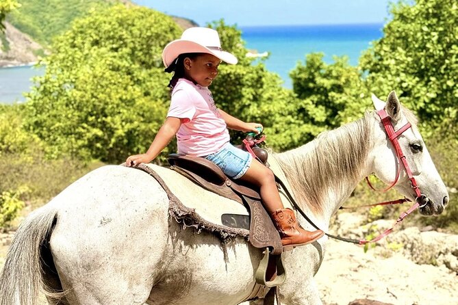Nature & Historical Horseback Riding Tours St. Lucia - Through plantations, forest, and open country