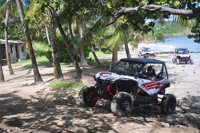 Northern Sights - Buggy in the North - Starting around Gros Islet and Rodney Bay