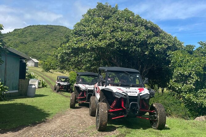 Northern Sights - Buggy in the North - Buggy choice, comfort, and practical limits