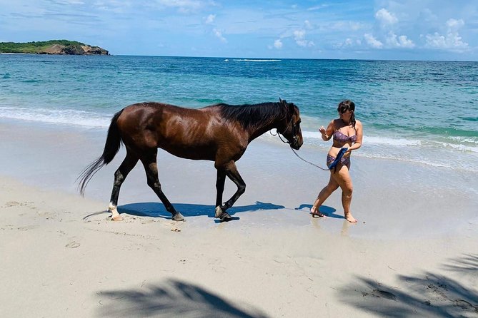 Private Advanced Horseback Beach Ride with Sandy Hoofs St. Lucia - Why this St. Lucia ride feels different