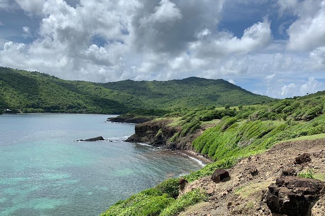 Private Advanced Horseback Beach Ride with Sandy Hoofs St. Lucia - The horses, tack, and level of care