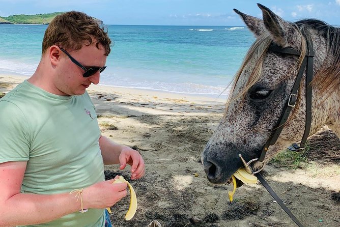 Private Advanced Horseback Beach Ride with Sandy Hoofs St. Lucia - Who should book this ride