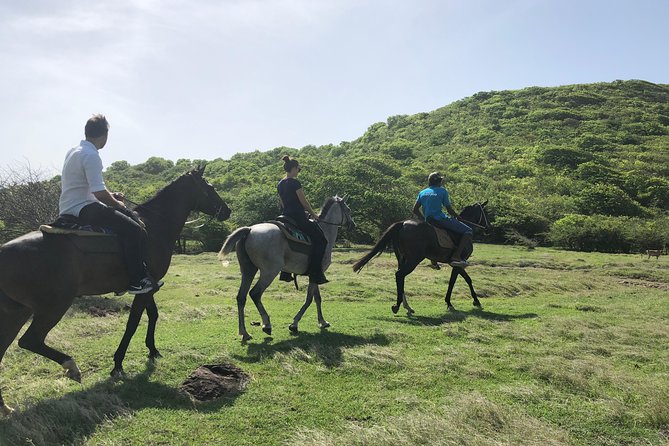 Private Advanced Horseback Beach Ride with Sandy Hoofs St. Lucia - The opening trails and hilltop views