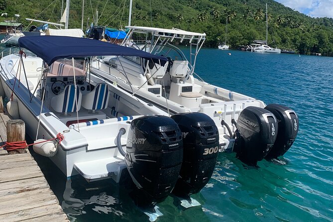 Private All Inclusive Speedboat to Soufriere with Lunch, Mud Bath & Waterfall - Sulphur Springs mud bath: warm, messy, and memorable