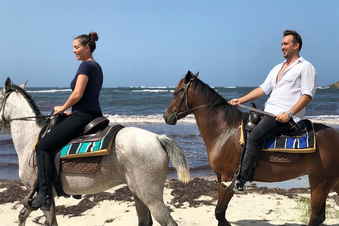Private Beach Picnic Horseback Ride with Sandy Hoofs St. Lucia - A Quiet St. Lucia Ride for Two
