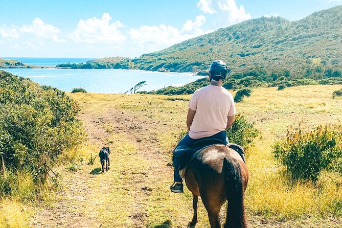 Private Beach Picnic Horseback Ride with Sandy Hoofs St. Lucia - Reaching Anse La Voute Beach