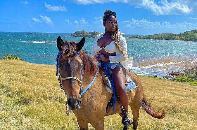 Private Beach Picnic Horseback Ride with Sandy Hoofs St. Lucia - Horse Welfare and the Feel of the Stable