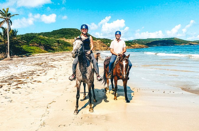 Private Beach Picnic Horseback Ride with Sandy Hoofs St. Lucia - Who Will Enjoy This Most