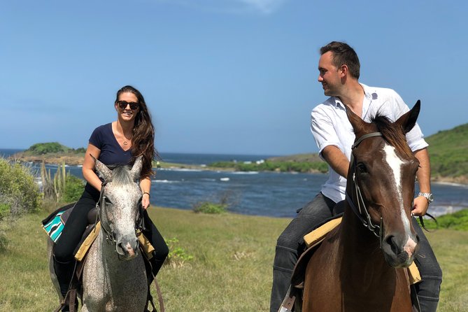 Private Beach Picnic Horseback Ride with Sandy Hoofs St. Lucia - Riding Through Hillsides, Cows, and Coastal Views