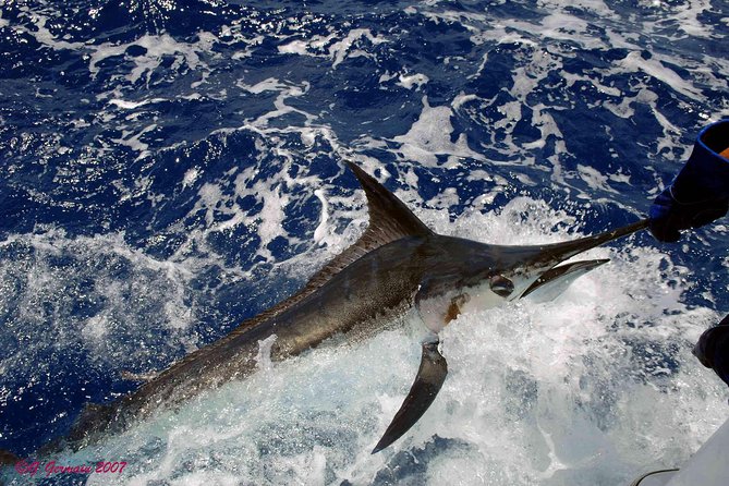 Private Fishing in St Lucia Charters - The gear, boat, and hands-on help
