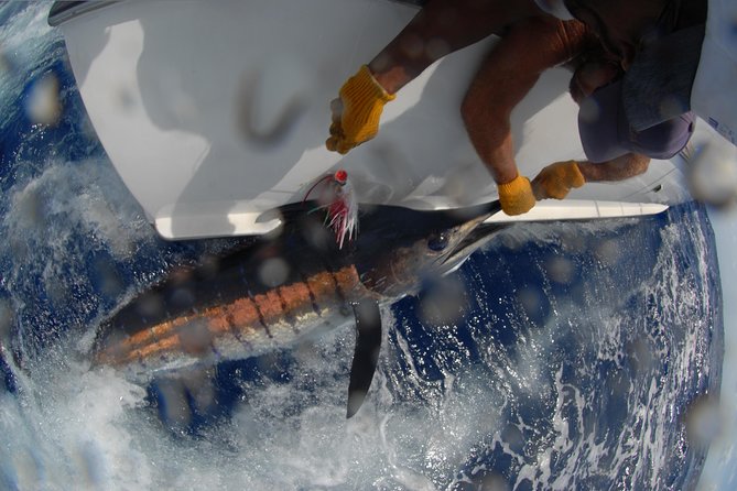 Private Fishing in St Lucia Charters - What the fishing can actually be like