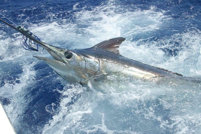 Private Fishing in St Lucia Charters - Along the St. Lucian coastline and into open water