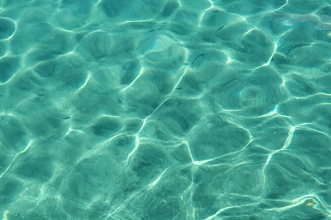 Private Full Day Snorkel Soufriere Charter - Snorkeling at Anse Chastanet Marine Reserve
