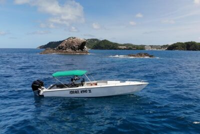 Private Half Day Charter: St Lucia Boat Tour to Soufriere