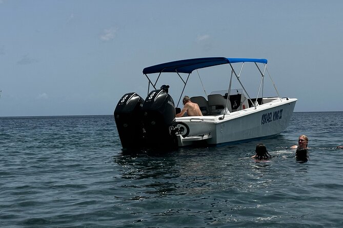 Private Half Day Charter: St Lucia Boat Tour to Soufriere - Timing, comfort, and who will enjoy it most