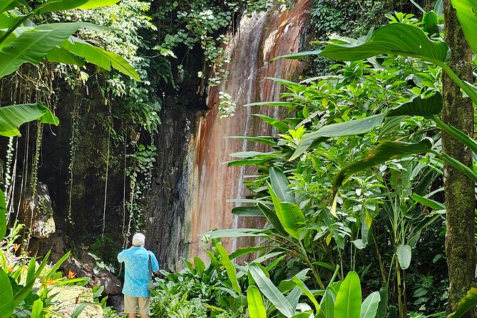 Private Island Tour St. Lucia - Toraille Waterfall without a long hike