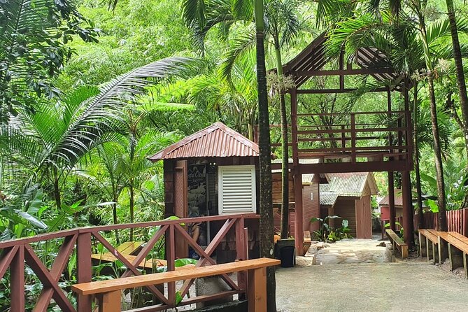 Private Tour of Sulphur Spring and Toraile Waterfall in Soufriere - Comfort, Planning, and Small Costs