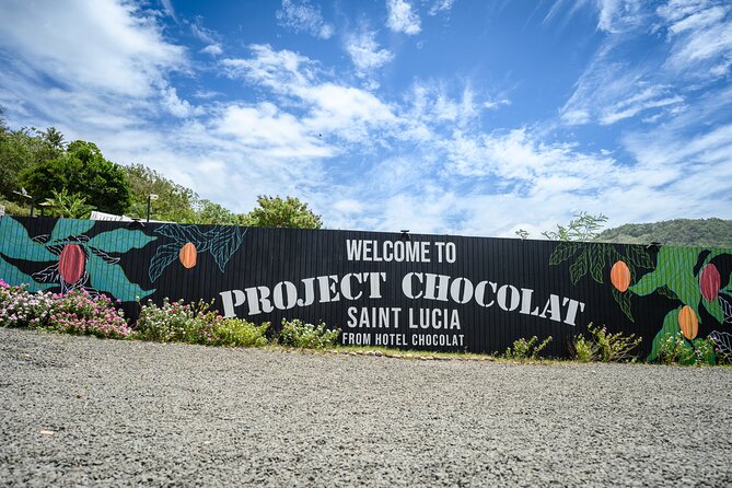 Project Chocolat Tree to Bar Tour at Hotel Chocolat Saint Lucia - Why cacao makes this more than a chocolate tasting