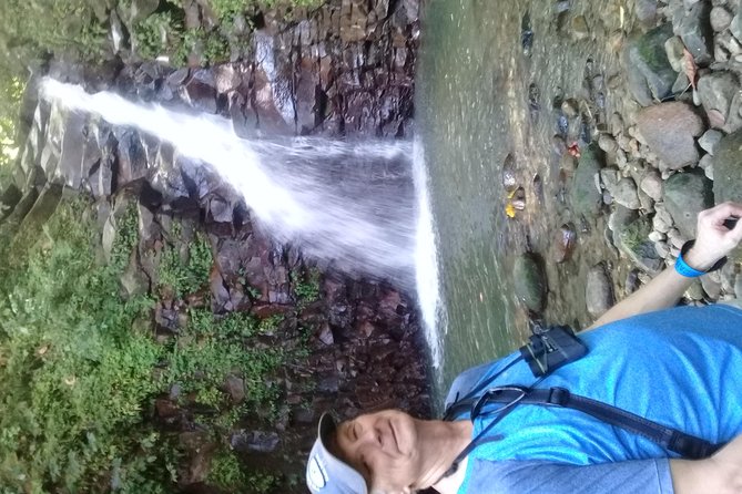 Rain forest and Bird watching - Is the $65 price fair?