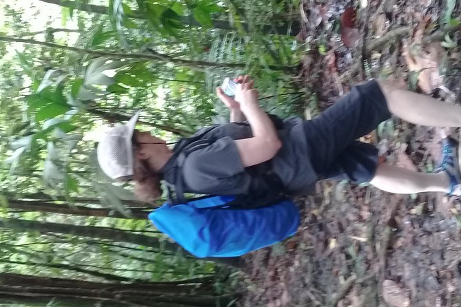 Rain forest and Bird watching - Who will enjoy this half-day outing?