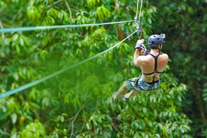 Rainforest Canopy Adventure from Vieux Fort or North Island, St Lucia - Who will enjoy this most?
