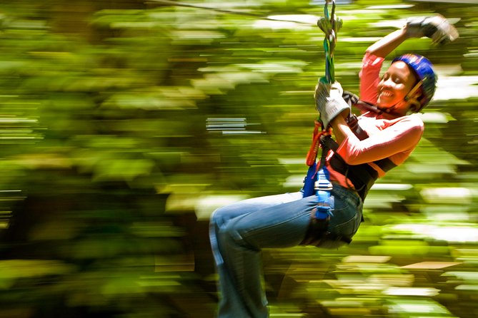 Rainforest Canopy Adventure from Vieux Fort or North Island, St Lucia - Arriving at the rainforest welcome center