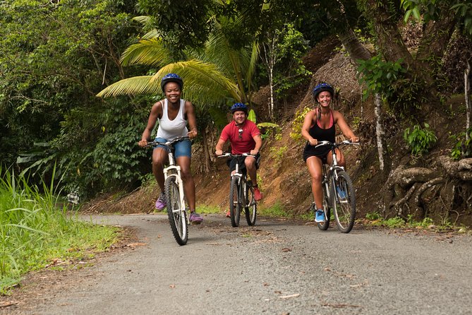 Rainforest Cycling Adventure in St. Lucia - Key points at a glance