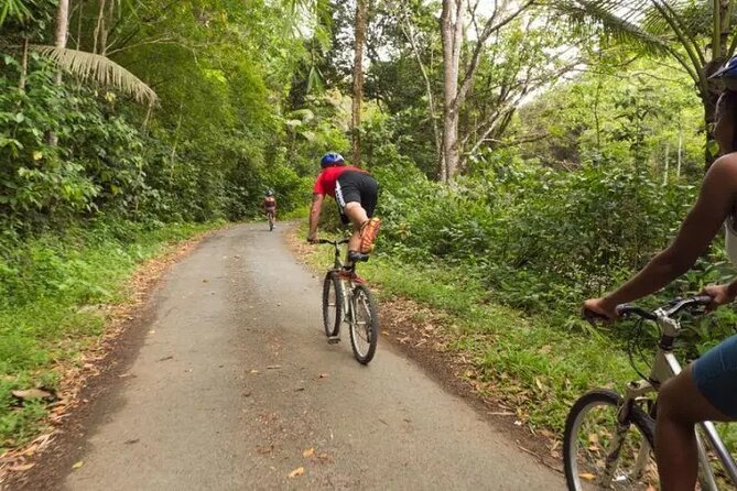 Rainforest Cycling Adventure in St. Lucia - The east-coast ride to Treetop Adventure Park
