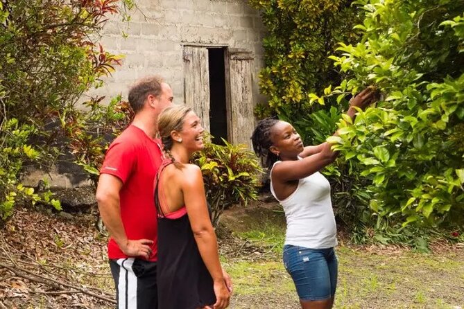 Rainforest Cycling Adventure in St. Lucia - Through the botanical gardens and along the river