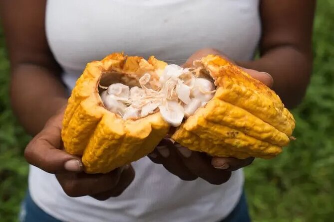 Rainforest Cycling Adventure in St. Lucia - What $66.67 buys you