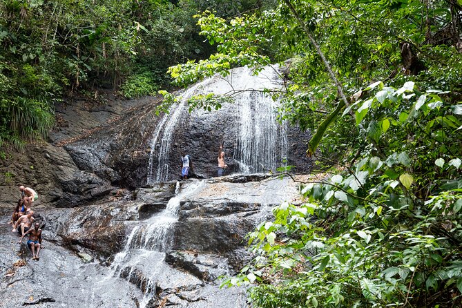 Rainforest Hike and Waterfall Safari - Key things to know before you book