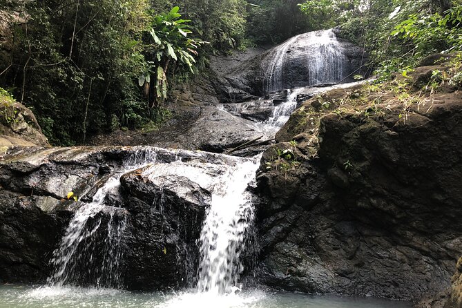 Rainforest Hike and Waterfall Safari - A 7:20 a.m. start from Gros Islet