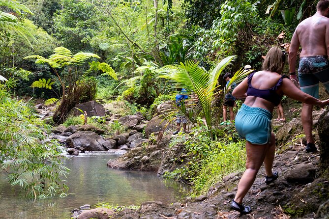 Rainforest Hike and Waterfall Safari - Fruit plantations and roadside Saint Lucia