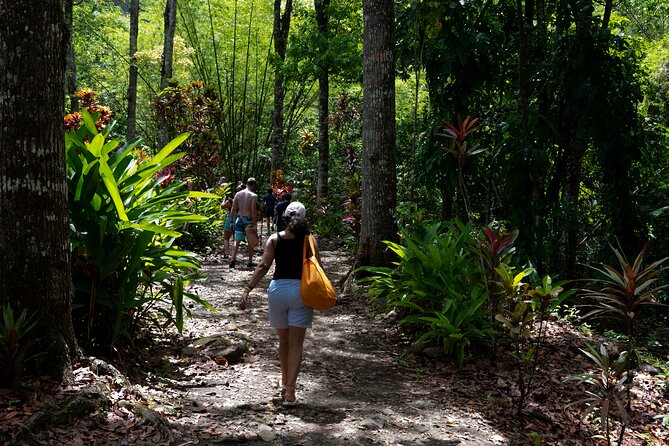 Rainforest Hike and Waterfall Safari - Cooling off at the waterfall