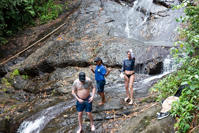 Rainforest Hike and Waterfall Safari - What the $66.67 price really includes