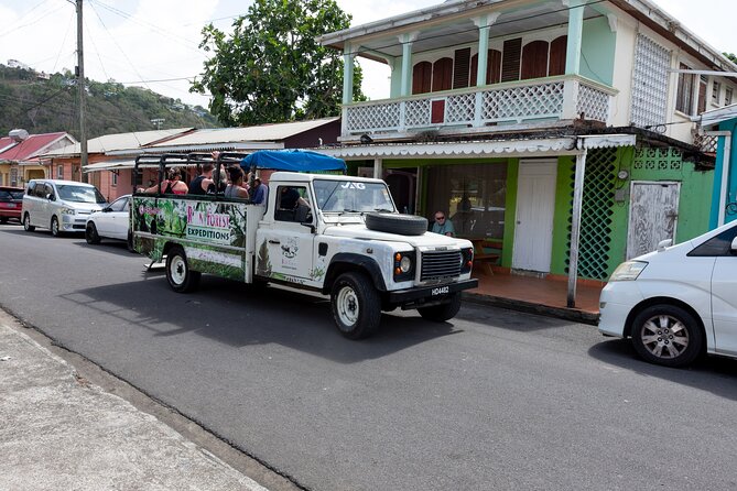 Rainforest Hike and Waterfall Safari - Who will enjoy this morning most
