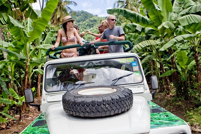 Rainforest Hike & Waterfall Safari St. Lucia From Castries - Starting above Castries at Morne Fortune