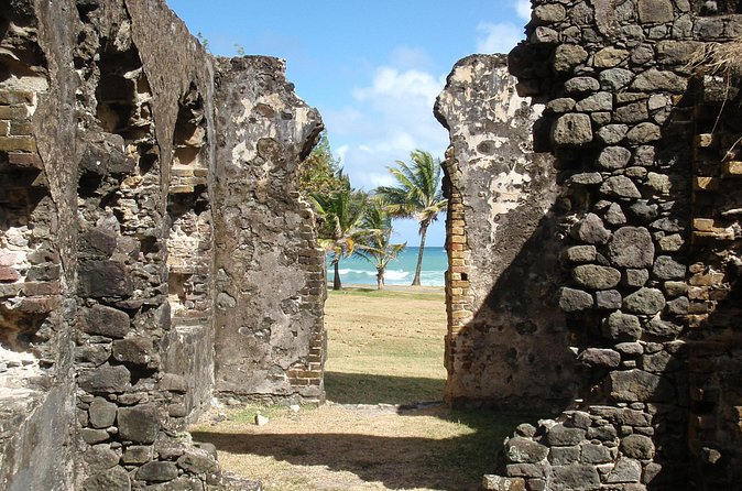 Rediut Beach OR Pigeon Island Beach Break Cruise Ship only Groups - What the Guides Add to the Experience