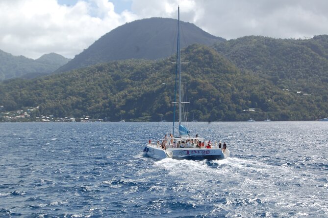 Rodney Bay to Soufriere Catamaran Transfer - Rodney Bay Marina and the 8:45 am start