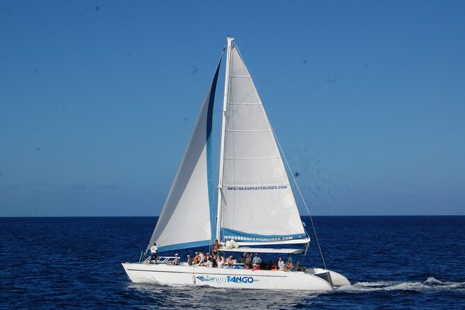 Rodney Bay to Soufriere Catamaran Transfer - Pickup, tickets, and cruise ship timing