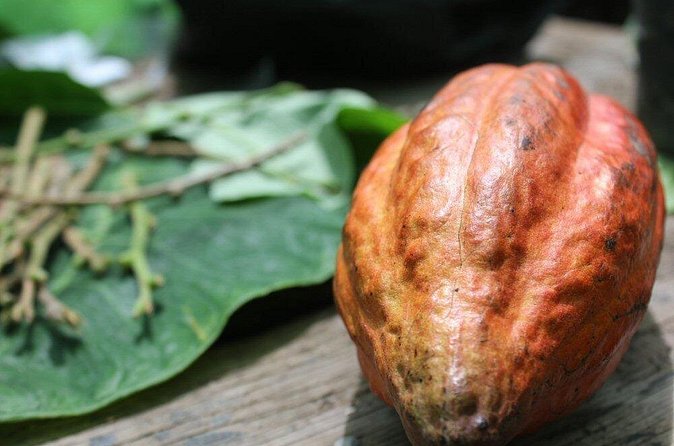 Rum & Chocolate Tasting Tour : Journey into Flavor - Who will enjoy this experience most?