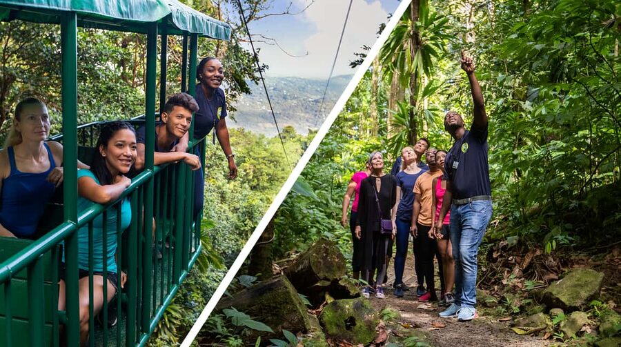 Saint Lucia: Aerial Tram Tour at Rainforest Adventures - Key things to know before riding