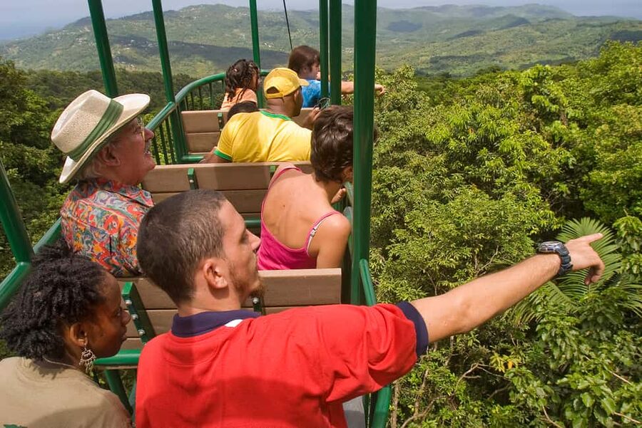 Saint Lucia: Aerial Tram Tour at Rainforest Adventures - Leaving the lowlands for the rainforest