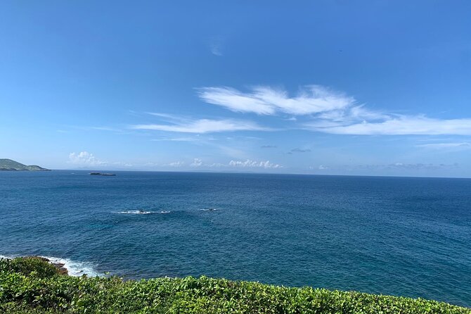Saint Lucia Beach Tour with Free Entry - Transport, timing, and group size