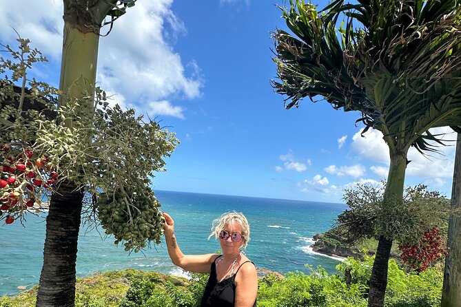 Saint Lucia Beach Tour with Free Entry - Is $60 a good deal for this Saint Lucia outing?