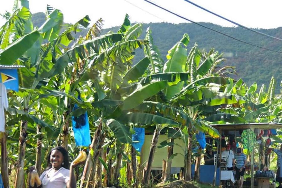 Saint Lucia Island Tour All Inclusive With Lunch - Anse La Raye and Canaries: small villages, short stops
